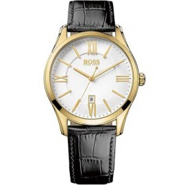 Hugo Boss HB1513020