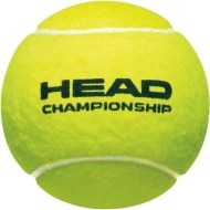 Head Championship - cena, porovnanie