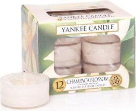 Yankee Candle Champaca Blossom 12ks