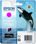 Epson C13T760340 - cena, porovnanie