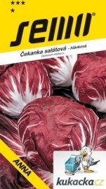 Semo Čakanka obyčajná Palla rossa 3 50ks