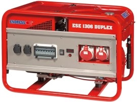 Endress ESE 1306 DSG-GT ES Duplex