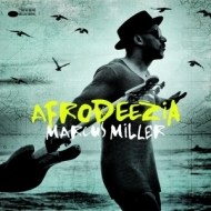 Marcus Miller - Afrodeezia - cena, porovnanie