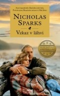 Vzkaz v láhvi - cena, porovnanie