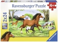 Ravensburger Svet koní - 2x24 - cena, porovnanie