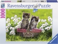 Ravensburger Piknik na lúke - 1000 - cena, porovnanie