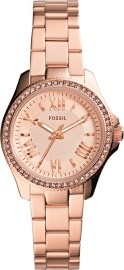 Fossil AM4578 