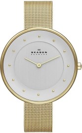 Skagen SKW2141 