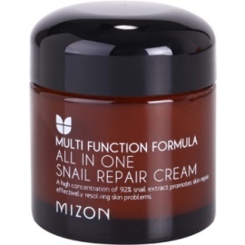 Mizon Multi Function Formula All In One Snail Repair Cream 75ml