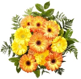 Giftier Prajem Ti krásny deň!