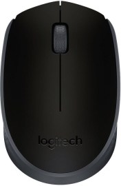 Logitech M171