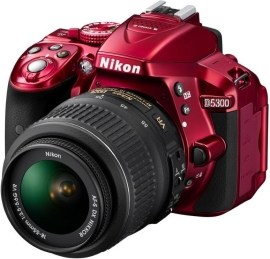 Nikon D5300 + 18-55 AF-P VR