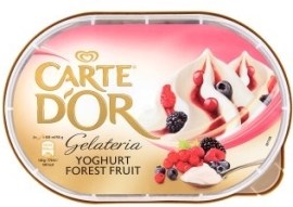 Unilever Carte D'Or Jogurt s lesným ovocím 900ml
