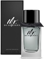 Burberry Mr.Burberry 100ml - cena, porovnanie