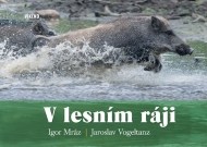 V lesním ráji - cena, porovnanie