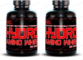Best Nutrition Hydro Amino Whey 250tbl