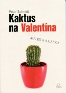 Kaktus na Valentína - cena, porovnanie