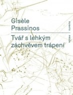 Tvář s lehkým záchvěvem trápení - cena, porovnanie
