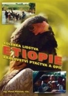 Etiopie - cena, porovnanie