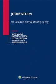 Judikatúra vo veciach nemajetkovej ujmy