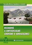 Rizikové a antisociální chování v adolescenci - cena, porovnanie