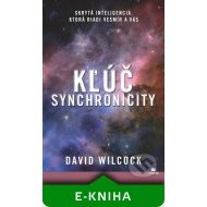 Kľúč synchronicity - cena, porovnanie