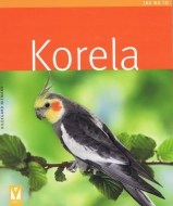 Korela - cena, porovnanie