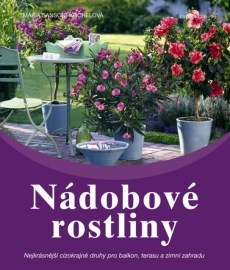 Nádobové rostliny