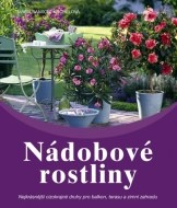 Nádobové rostliny - cena, porovnanie