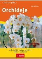 Orchideje - cena, porovnanie