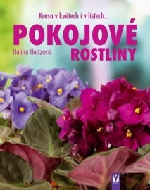 Pokojové rostliny