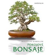 Pokojové bonsaje - cena, porovnanie