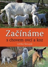 Začínáme s chovem ovcí a koz