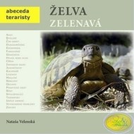 Želva zelenavá - cena, porovnanie