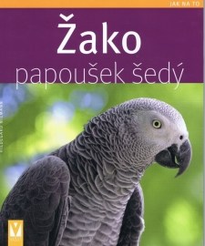 Žako - papoušek šedý