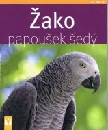Žako - papoušek šedý - cena, porovnanie