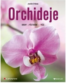 Orchideje