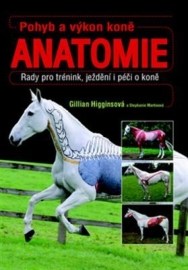 Pohyb a výkon koně Anatomie