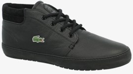 Lacoste Ampthill Terra Put
