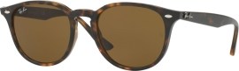 Ray Ban RB4259