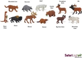 Safari Tuba Zvieratá Severnej Ameriky