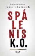 Spálenisko - Hriechy dym neprekryje - cena, porovnanie