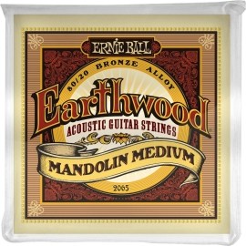 Ernie Ball Earthwood 2065