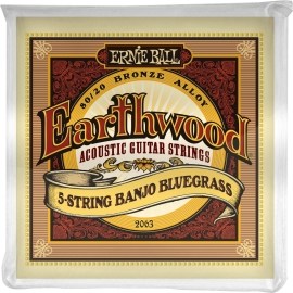 Ernie Ball Earthwood 2063