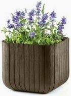 Keter Cube Planter S - cena, porovnanie