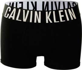 Calvin Klein Intense Power