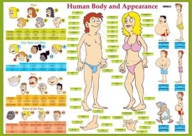 Karta Human Body and Appearance