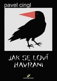 Jak se loví havrani