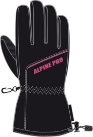 Alpine Pro Eine