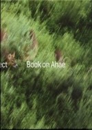 Book on Ahae - cena, porovnanie